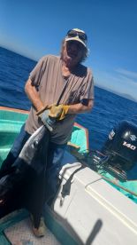 Great Marlin Fishing In San Carlos