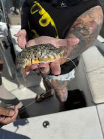 Amazing Time with Hector on our Honeymoon Trip