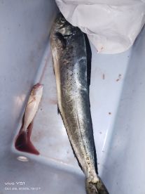 Amazing Fishing Experience in Fujairah