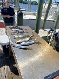 Great day with Captain Mitch