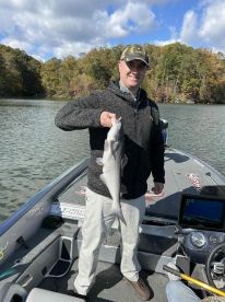 Watts Bar Lake Fishing
