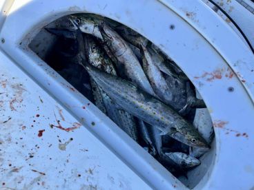 Captain Mike Made Our Birthday Fishing Trip Unforgettable!