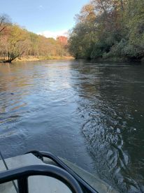 Toccoa fishing