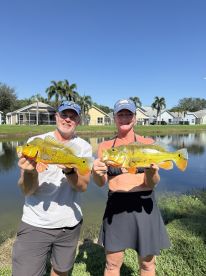 Great new experience