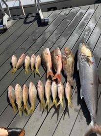 always the best time with the most courtsey crew