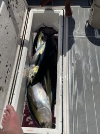 Great day of catching 