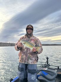 Excellent experience