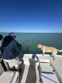 excellent fishing experience