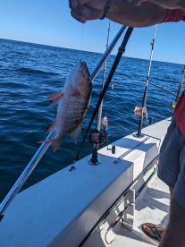 Great experience! Awesome Captain