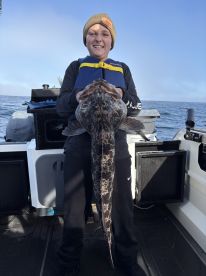 Erick Andreassen and the Big Anchovy