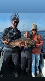 Erick Andreassen and the Big Anchovy