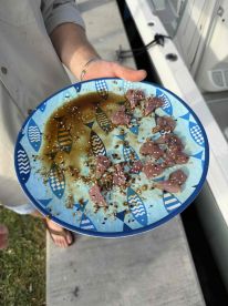 Alek is the man - GREAT fishing charter