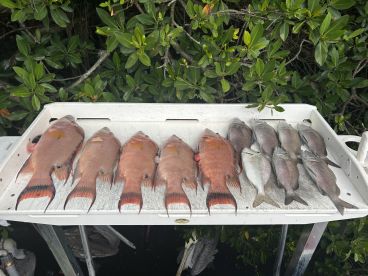 The Perfect Sunday Morning 