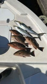 non stop action with mike