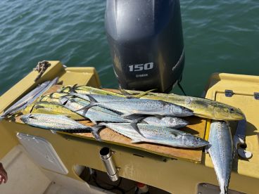 Excelente d\u00eda de pesca 