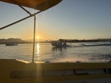 Excelente d\u00eda de pesca 