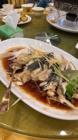 great striped seabass fishing day