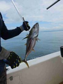 Great trip...lots of nice fish