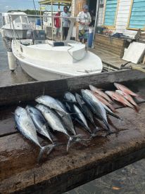 Awesome fishing trip from San Pedro