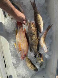 November fishing trip