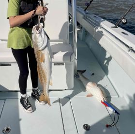 Family Friendly and Better than We Could Have Hoped