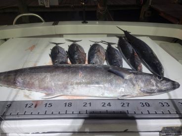 Great customer service!!