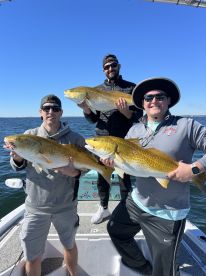 Good guys and easy to work with!