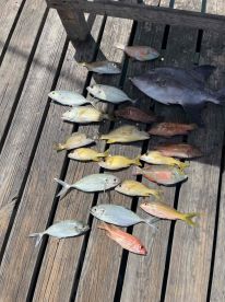 Great day of fishing!
