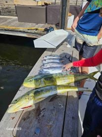 hreat familly activity