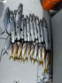 Amazing trip while in the Bahamas! 