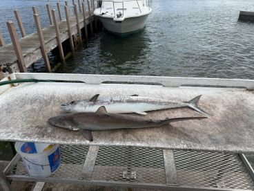 Great Fishing Excursion. 