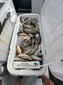 Great trip with the whole family