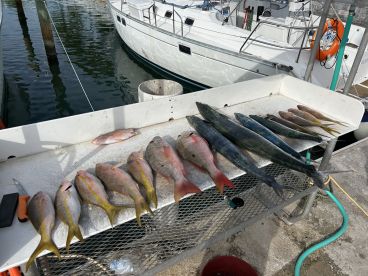 Had a Great Time with Southpaw!