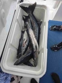 ABSOLUTELY PERFECT DAY IN THE RAIN!