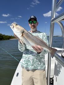 As good as you can ask for