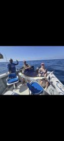 Sailfish and Maui