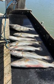 November fishing trip