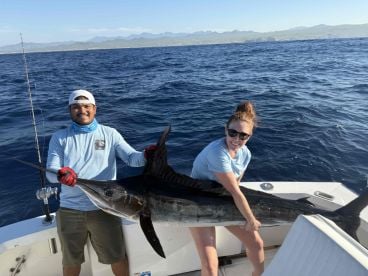 Hooked 3 Marlin at the same time