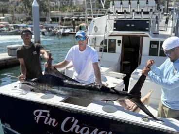 Hooked 3 Marlin at the same time