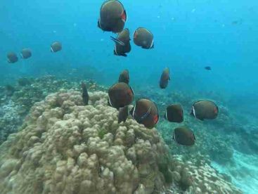 Good Experience 👍