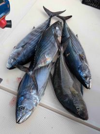 November fishing trip