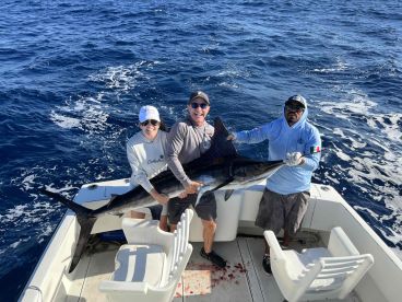 Striped Marlin on in 2 minutes 