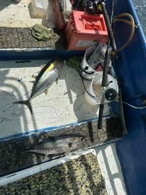 Awesome Fishing Trip 