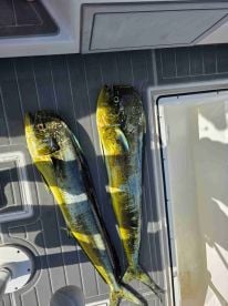 Great day on the water.