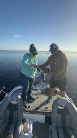 Incredible Experience