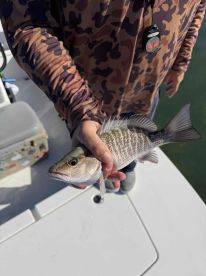 AS GREAT AS IT GETS!