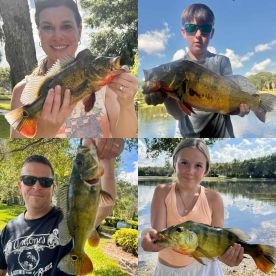 Fun for the whole family