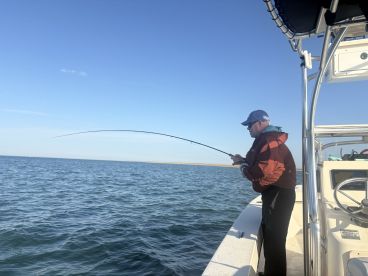 First false albacore on a fly!