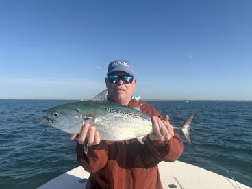 First false albacore on a fly!