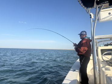 First false albacore on a fly!